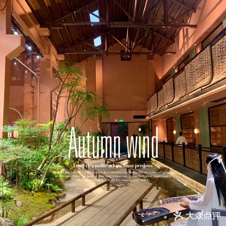 小众宝藏餐厅推荐！与其说这是餐厅，还不如说叫室内园林！