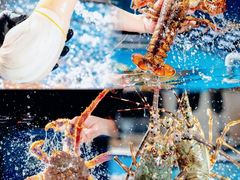 -四川小胡子海鲜(丁村万人海鲜广场店)