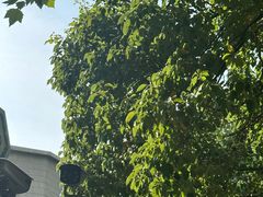 -沪水焙煎室(淡水路店)