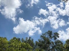 -南国桃园旅游度假区