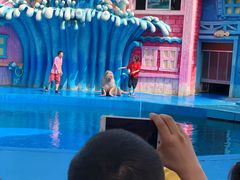 -华夏文旅海洋公园