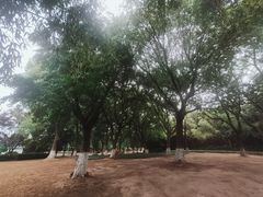 -澹台湖公园