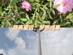-辽宁电视塔