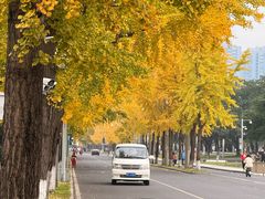 -四川大学(望江校区)