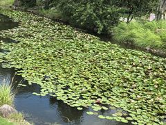 -南通洲际绿博园