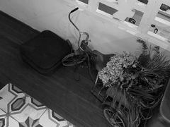 -时光花园(白鹭洲店)