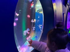 -海合安成都极地海洋公园