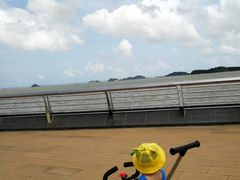 -野狸岛