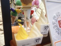 -野人先生Gelato(上海长宁龙之梦店)