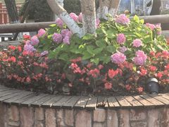 -上海野生动物园