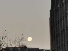 -文武王氏烧饼·无矾油条(西溪路店)