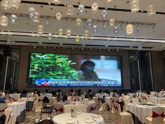 -千灯盛汇·头牌粤菜(致越优城店)