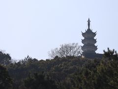 -苏州上方山国家森林公园