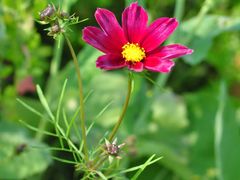 -光明小镇欢乐田园