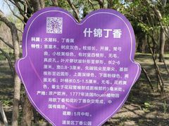 -群力丁香公园