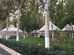 -九十九顶毡房(阜石路店)