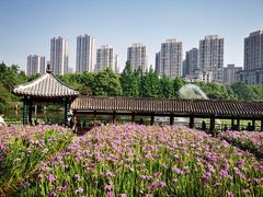 -龙头寺公园
