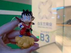 -白玉兰广场停车场