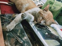 -天津洋货市场