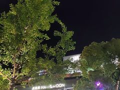 -瑞虹新天地月亮湾
