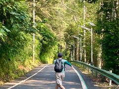 -佛山市三水区大南山森林公园