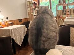 -隅cafe(傅厚岗店)