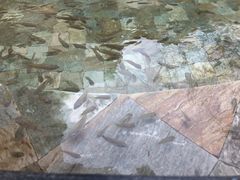 -张家港金凤凰度假村温泉