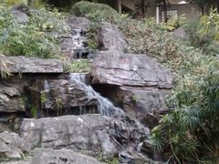 -晓港公园