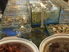 -姜家味锅贴小海鲜