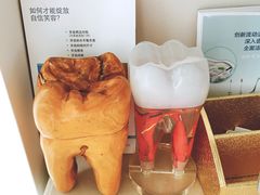 -精德口腔·种植修复·儿牙中心(财富中心店)