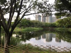 -福田红树林生态公园
