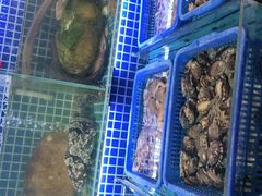 -必点海鲜·鲅鱼水饺(鞍山西道店)