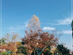 -浙江安吉JW万豪酒店