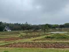 -宜兴龙背山森林公园