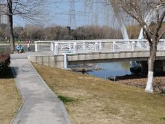 -九里河湿地公园