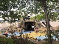 -秦皇岛乐岛海洋王国