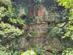 -鼎湖山风景区