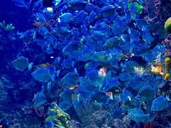 -海合安青岛极地海洋公园