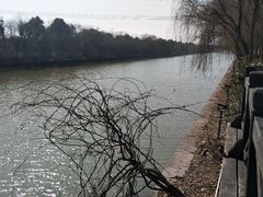 -长田漾湿地公园