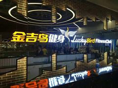 -金吉鸟健身游泳