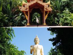 -西双版纳勐泐文化旅游区