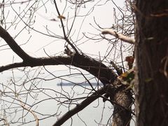 -滨江公园-停车场