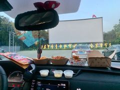 -枫花园汽车电影院(朝阳公园店)
