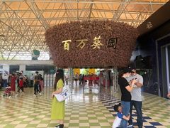 -百万葵园