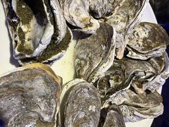 -蠔爺王志德生蚝馆(金沙湾店)