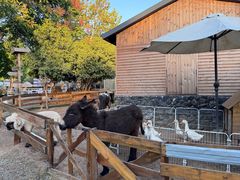 -HERRE·FARM 赫尔露营农场·团建聚会包场