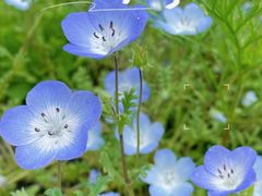 -上海滨江森林公园