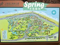 -上海滨江森林公园