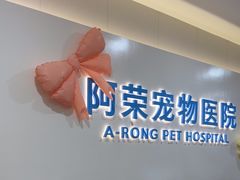 -阿荣24H宠物医院·综合型转诊中心·CT·核磁影像中心