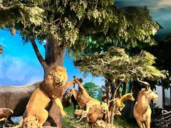 -国家自然博物馆